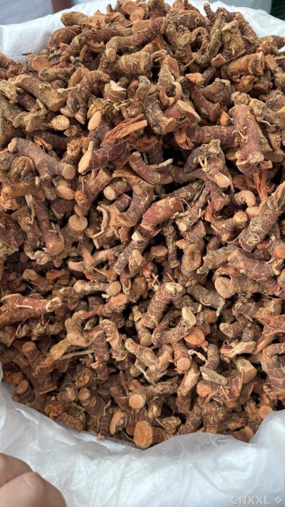 spice_18794_ac680a14_2.jpg