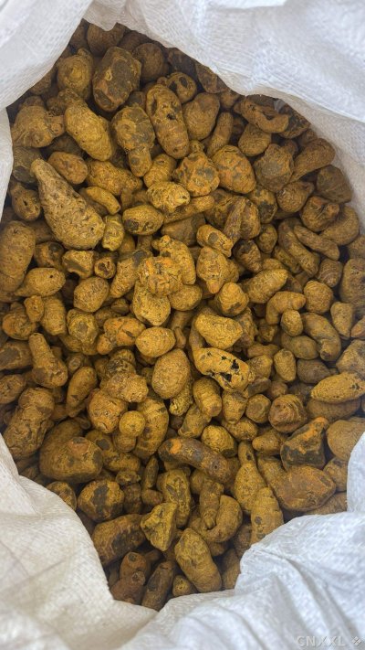 spice_18851_6eede06d_3.jpg