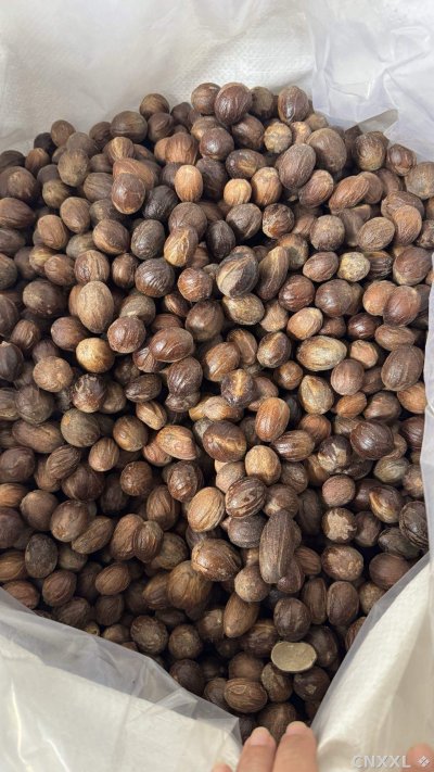 spice_1886526_a03ece39_3.jpg