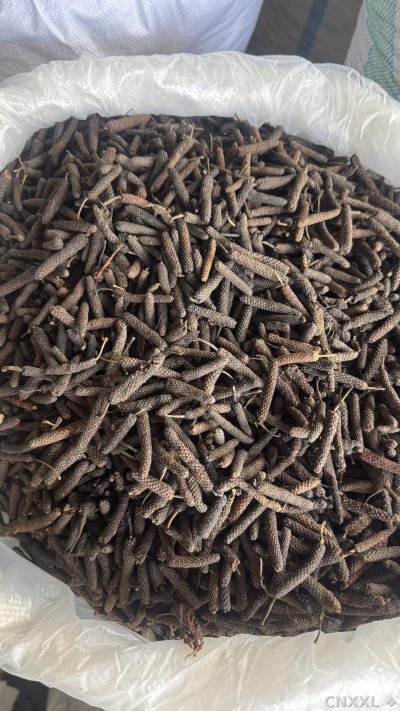 spice_18871_f109bba4_3.jpg