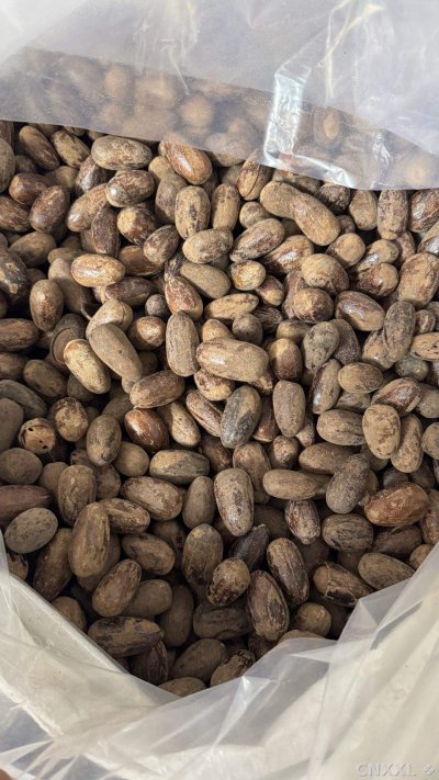 spice_1891582_ec7f3005_3.jpg