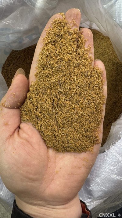 spice_19068_8acf8efb_1.jpg