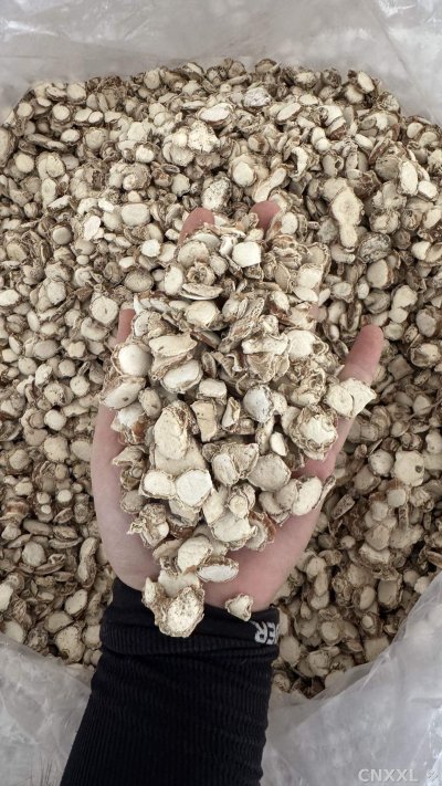 spice_19106_bfac84fd_2.jpg