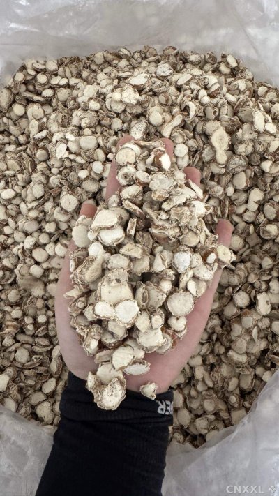spice_19106_e3ca1d76_1.jpg