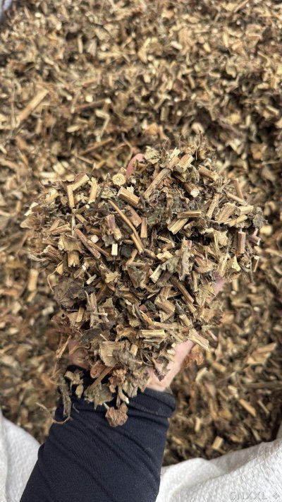 spice_193499_13a506e3_2.jpg