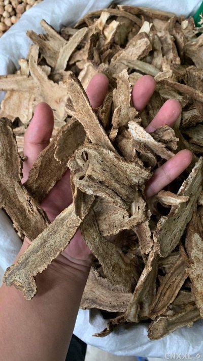 spice_19363_9e8a272a_1.jpg