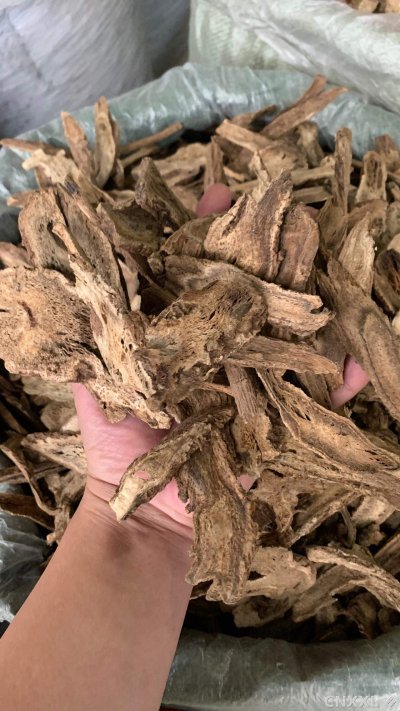 spice_19364_0cbf6110_2.jpg