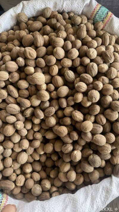 spice_19367_3c33086e_2.jpg