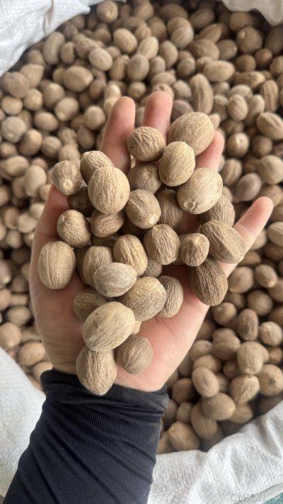 spice_19368_eba7c001_2.jpg