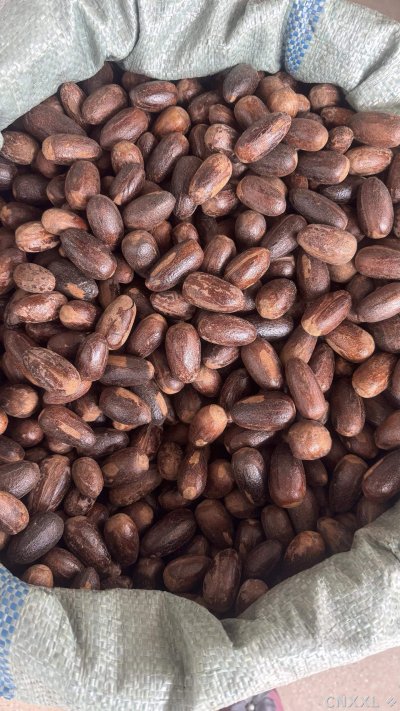 spice_19369_2e745b0a_2.jpg