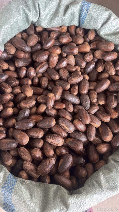spice_19369_cbfd5b71_3.jpg