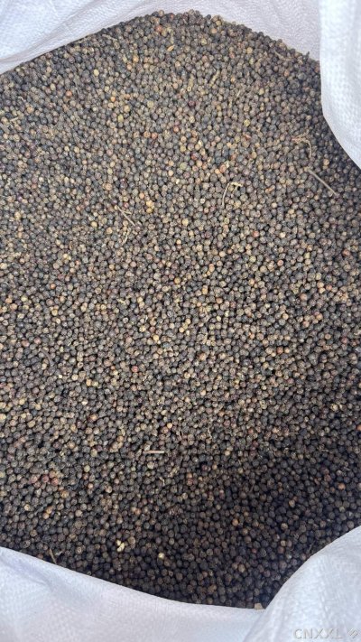 spice_19419_4b932210_3.jpg