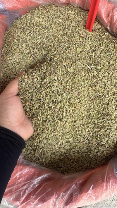 spice_19420_3e14c375_3.jpg