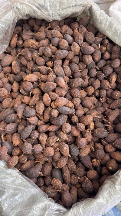 spice_19946_8343d130_3.jpg