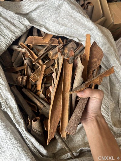 spice_19958_23ce4a25_2.jpg
