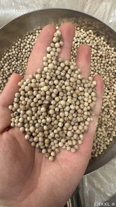 spice_19973_df192eb0_2.jpg