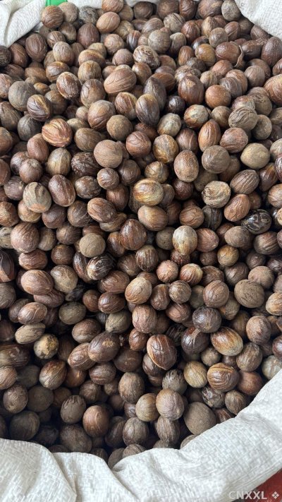 spice_2028190_f02f86be_3.jpg