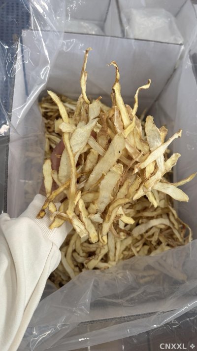 spice_20505_3d871f46_1.jpg