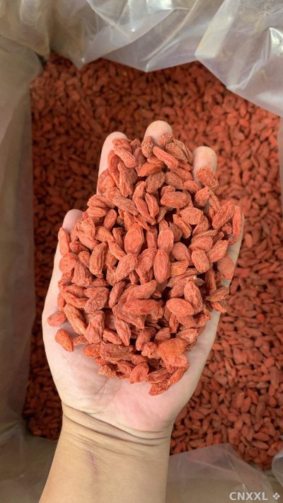 spice_20508_d4033695_1.jpg