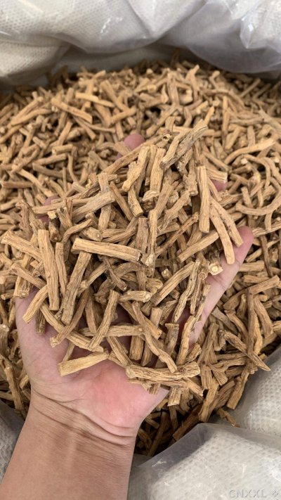spice_20510_435ce47d_2.jpg