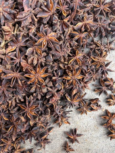 spice_20583_1fdcc9cb_3.jpg