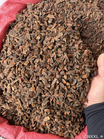 spice_2058551_d6d9aac9_3.jpg
