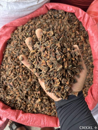 spice_2058551_df1425da_1.jpg