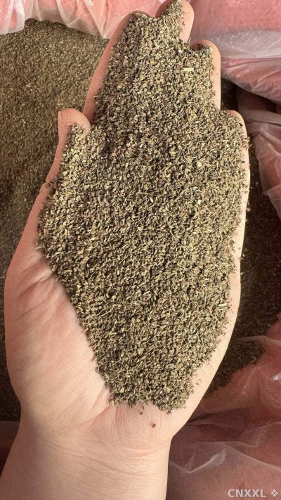 spice_20667_77ee5bd0_2.jpg
