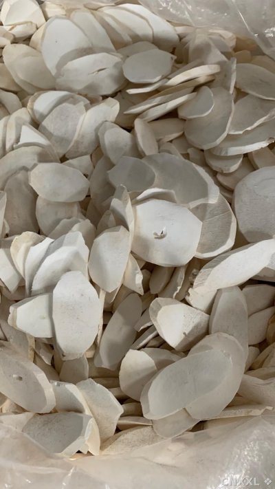 spice_20682_34f0fd0d_3.jpg