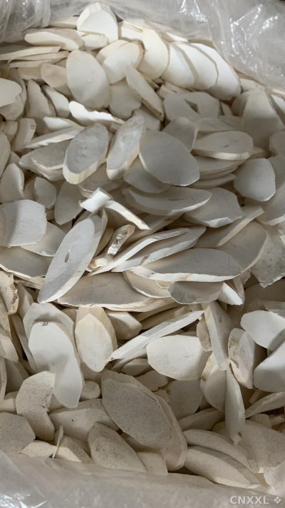 spice_20682_ba84902e_2.jpg