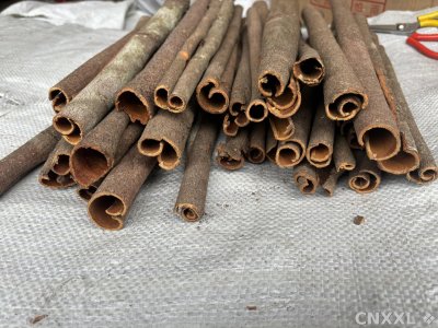 spice_21098_58acdb2e_1.jpg