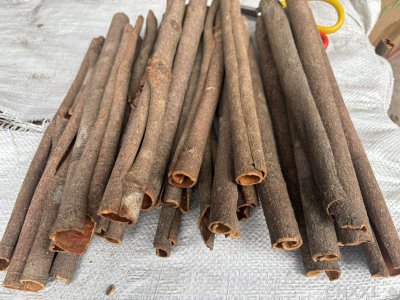 spice_21098_6ba3da15_2.jpg