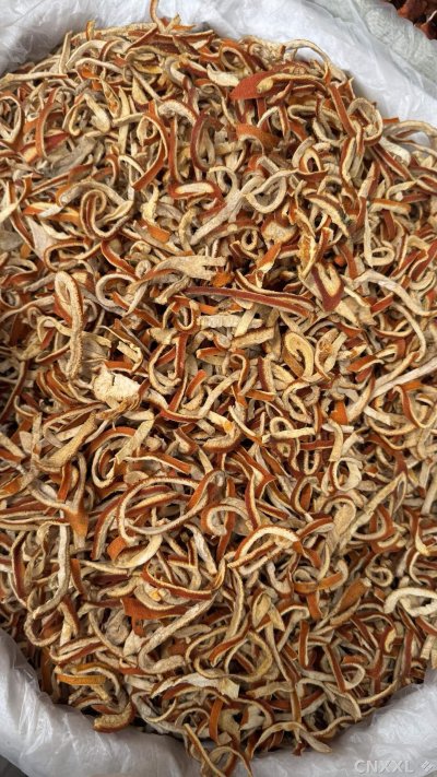 spice_21127_4b117de7_3.jpg