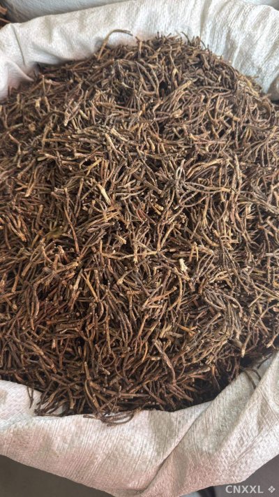 spice_21673_928c6ce0_3.jpg