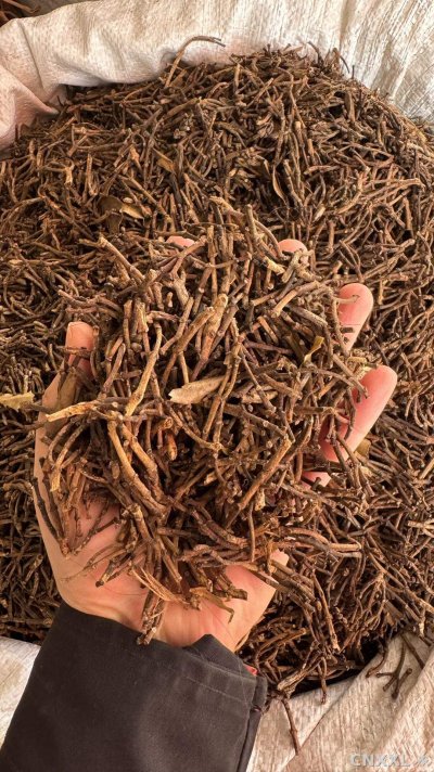 spice_21673_f91b89c1_1.jpg