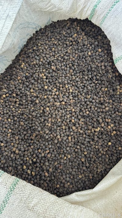 spice_21710_11d71113_3.jpg