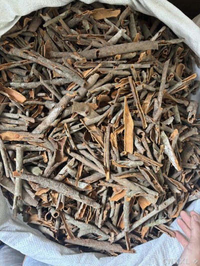 spice_21766_ba62d74e_3.jpg