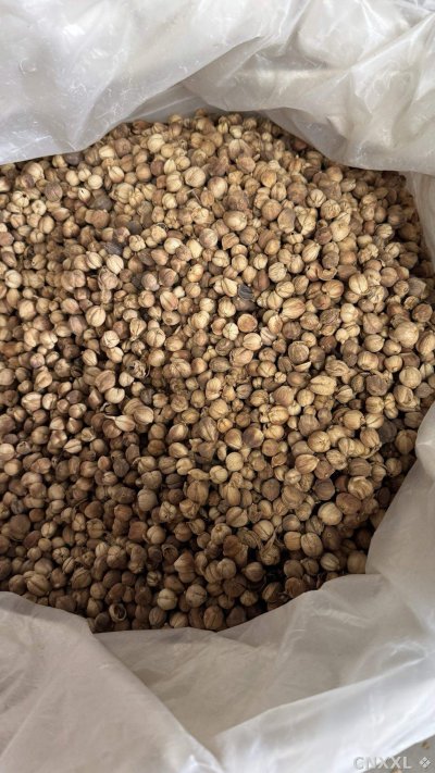spice_21770_a0a4e220_3.jpg
