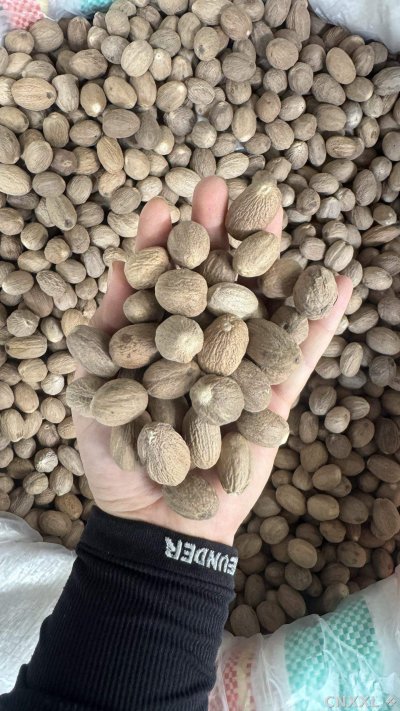 spice_22850_08c60f05_1.jpg