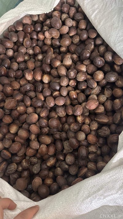 spice_23168_c0feaa5c_3.jpg