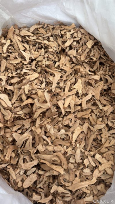 spice_23200_7be089f1_3.jpg