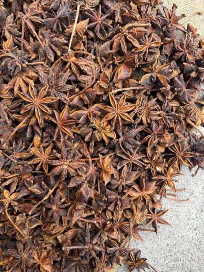 spice_23938_ae105335_3.jpg