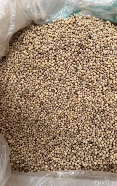 spice_24026_0adc3208_3.jpg