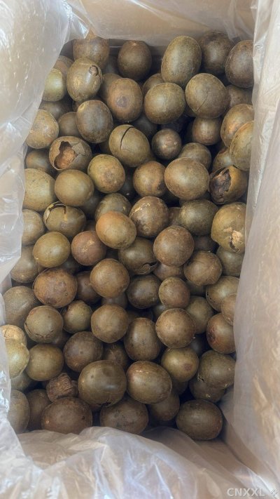 spice_24662_98f1cbd0_3.jpg