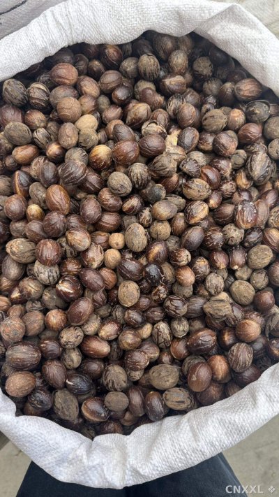 spice_24907_556e4e9b_3.jpg