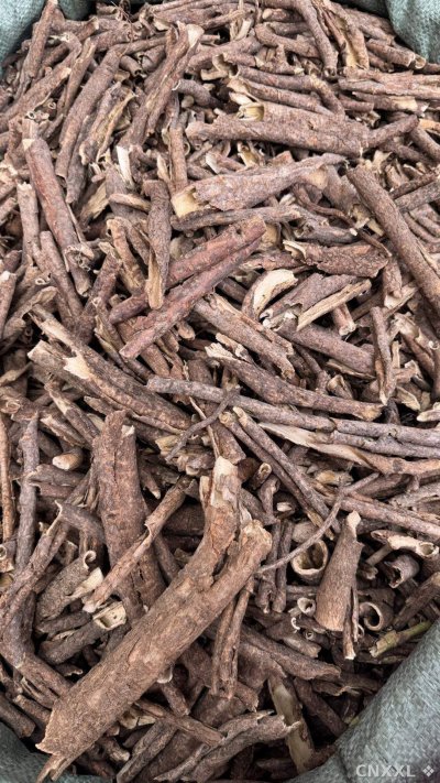 spice_25029_246fb7f0_3.jpg