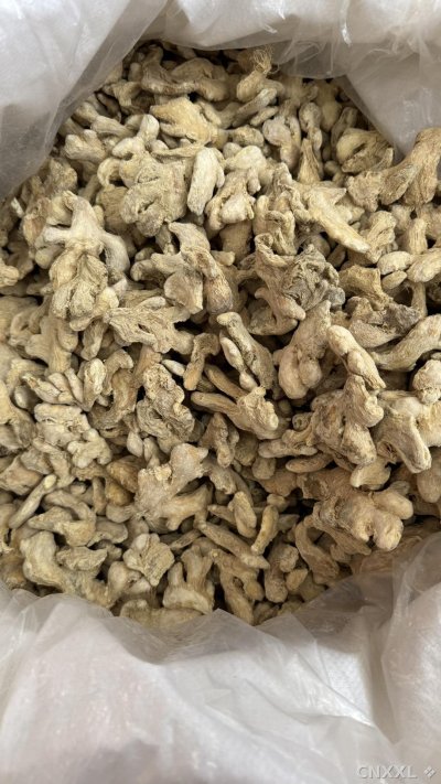spice_25096_1e1c6450_2.jpg