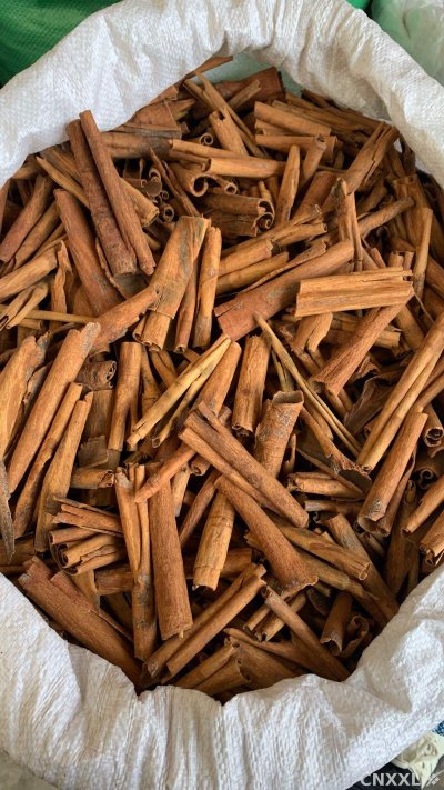 spice_25220_17518b8c_3.jpg