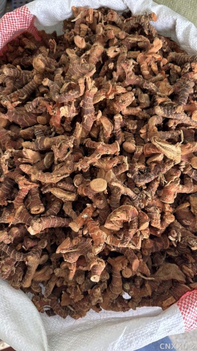 spice_25347_376174eb_2.jpg