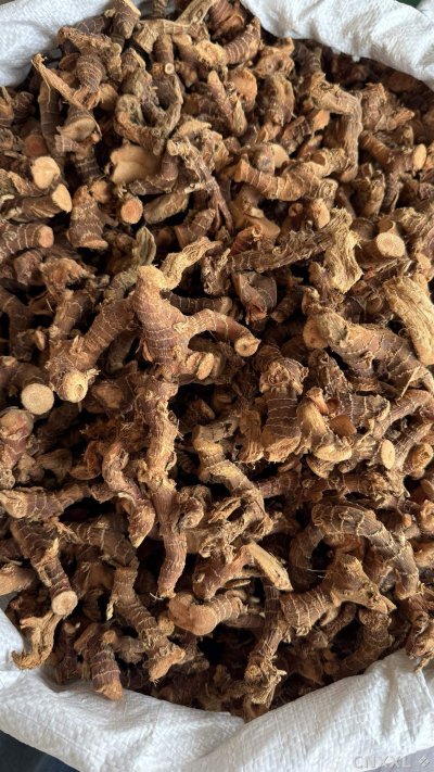 spice_25348_87b89c9a_3.jpg